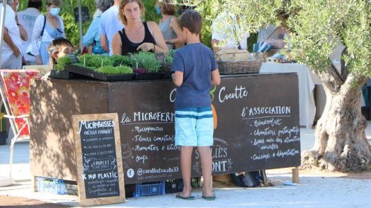 A La Farlède, première nocturne réussie pour le marché de la cerise