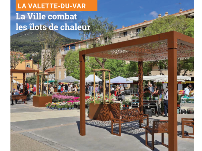 Petites Affiches VAR (…)