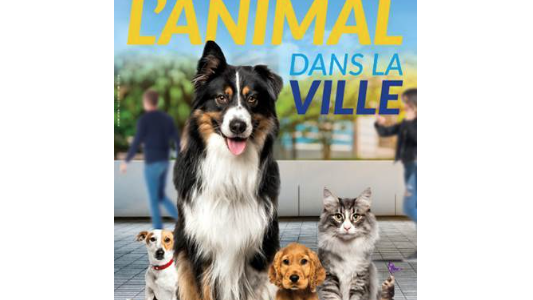Nice accueille le 1er colloque national l'« Animal dans la ville »