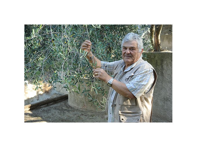 Olive de nice : il faut