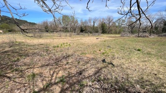 Neyrat Immobilier cultive son engagement durable avec un potager d'entreprise au Thoronet