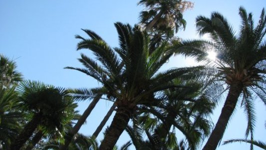 Les paysages urbains méditerranéens sont menacés