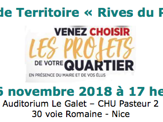Nice : Conseil de Territoire « Rives du Paillon » le 26 novembre