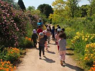 À l'ombre, à l'aube ou sous les étoiles : les Jardins du MIP s'adaptent déjà aux étés de demain