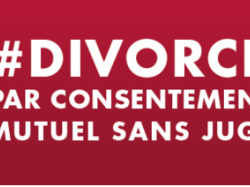 Nouveau divorce par consentement mutuel : le CNB dénonce des propos indignes de la part du Notariat et contraires à la loi