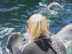 Marineland : Fermeture définitive envisagée pour le zoo marin