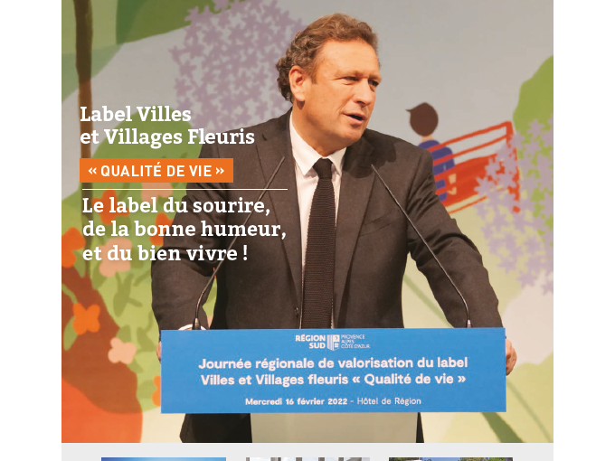 Petites Affiches VAR (…)