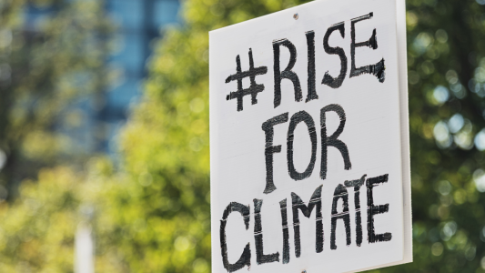 4e Accélérateur de solutions-climat : Vingt startups sélectionnées à Cannes pour accélérer l'innovation climatique
