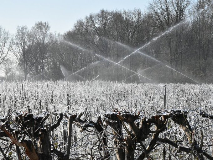 Vague de froid : la (…)