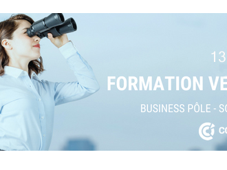 Formation CCI NCA : "Faire de la veille comme les grandes entreprises... C'est possible !" le 13 mars