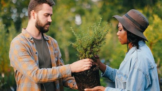 BoursO' Vert, la plateforme d'échanges pour revaloriser les déchets verts
