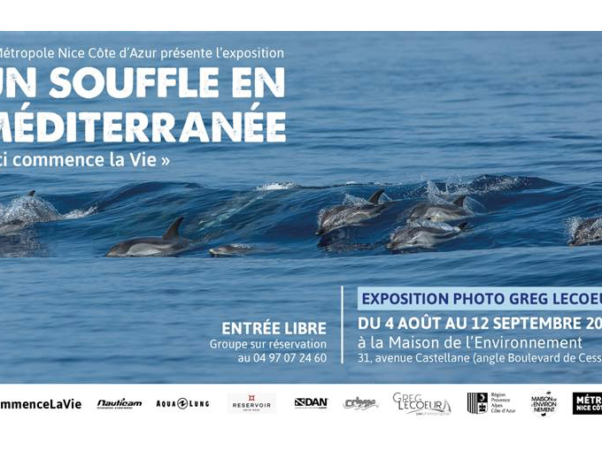 Expo : Greg Lecoeur « (…)