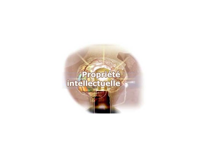 Contrefaçon d'œuvres (…)