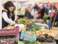 Beausoleil : marché pour l'attribution de cabines à la Halle du Marché Gustave Eiffel 
