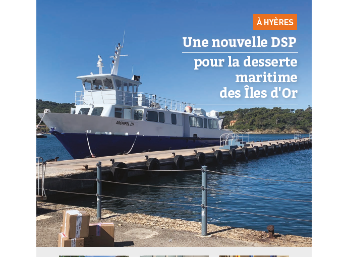 Petites Affiches VAR (…)