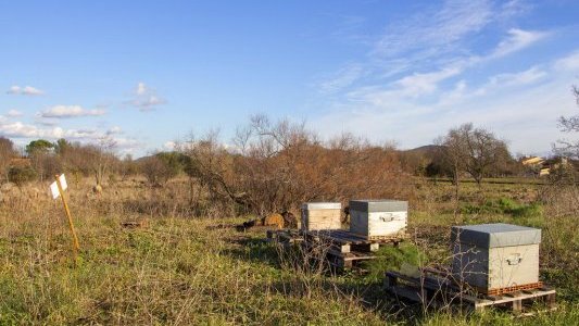 La Garde, grande amie des abeilles