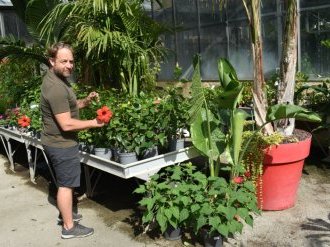 À Sanary-sur-Mer, le Jardin d'Antoinette, un univers singulier à découvrir