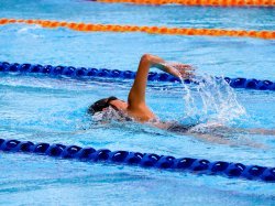 L'Olympic Nice Natation fait sa rentre ?e !