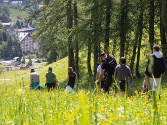 Opération « Montagne Zéro Déchet » à Valberg : 100 kilos de déchets sauvages ramassés