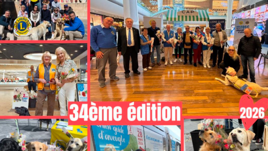 Une Rose pour un Chien Guide : 11 630 roses vendues et plus de 24 000€ collectés