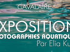  Exposition de photographies aquatiques d'Elia Kuhn jusqu'au 31 octobre à Cavalaire