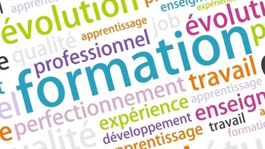  Formation : les périodes de mises en situation en milieu professionnel sur les rails
