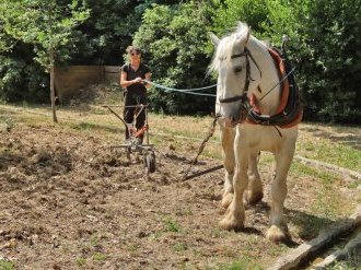 À La Valette-du-Var, les Rendez-vous aux Jardins ont illuminé la ville