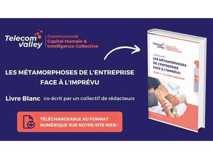 Livre blanc Telecom (…)