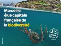Marseille décroche le titre de Capitale française de la biodiversité