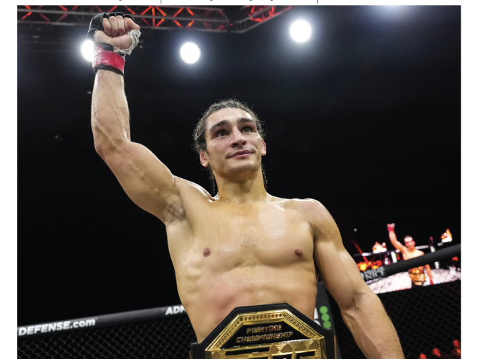 Les Petites Affiches (…)