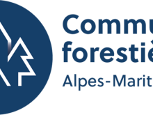 Forêt, climat, énergie : les élus des Communes forestières se réunissent pour leur assemblée générale à Nice le 28 avril