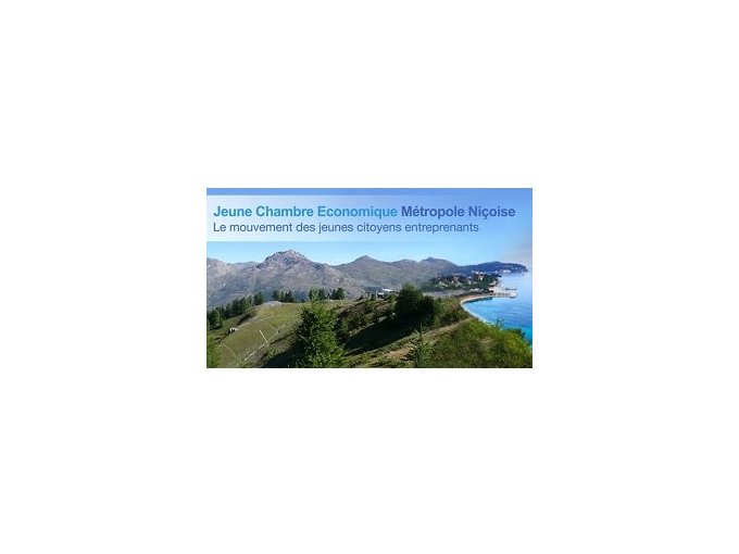 JCE : les smarts grids ou