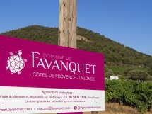 Domaine de Favanquet – Une soirée dégustation au crépuscule au cœur des vignes