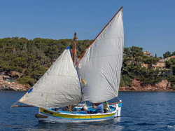 Le 5 et 6 septembre, une armada de pointus met le cap sur l'île de Port-Cros