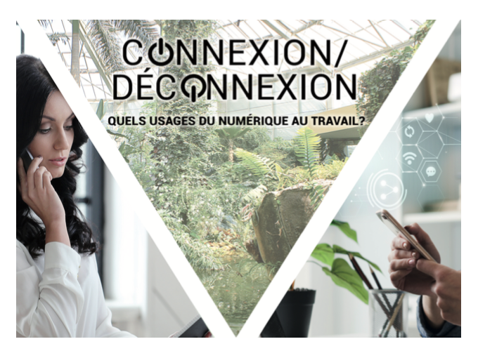 WEBINAIRE : "Connexion,