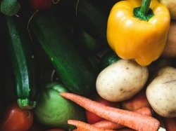 Cannes Lérins : Une plus grande reconnaissance du projet alimentaire territorial 