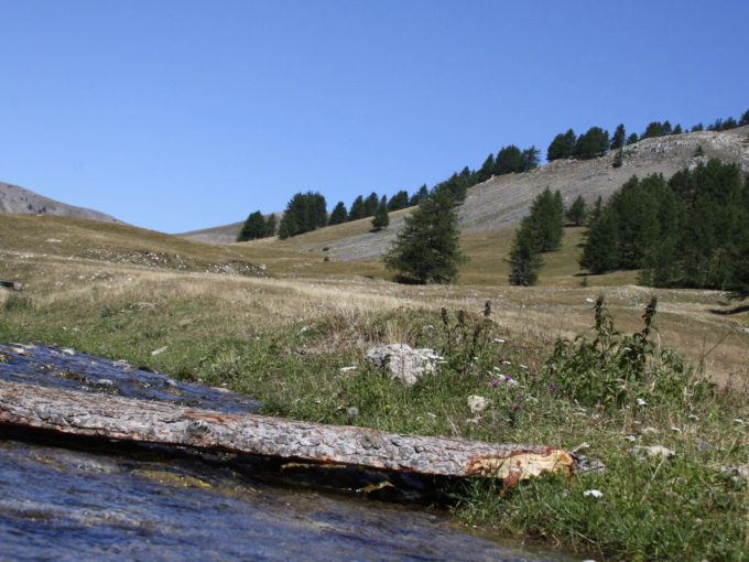 Commune de Roure : Électi