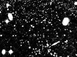 Le Frac Sud propose une constellation d'événements pour le mois d'août
