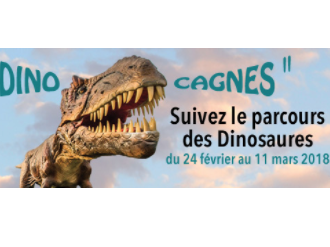 La Fédération des Associations de Commerçants et Artisans de Cagnes sur Mer : des actions engagées pour les commerces cagnois !
