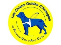 2e édition de la semaine du chien guide d'aveugle