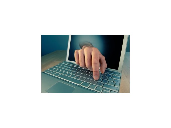 Sécurité intérieure : (…)