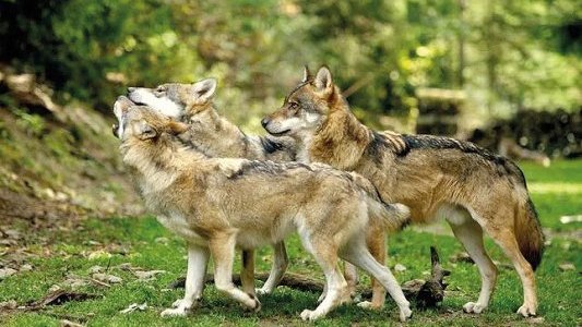 Tourisme : la course contre-la-montre du Haut et Moyen pays pour l'été