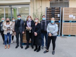 La Mairie de Cannes distribue 1 800 kilos de clémentines offertes par les producteurs corses aux personnes fragiles et isolées