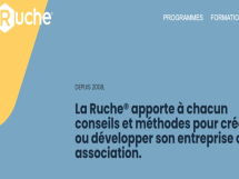 La Ruche dresse le bilan de son action pour les publics éloignés de l'emploi
