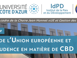 Conférence LADIE "Droit de l'Union européenne et jurisprudence en matière de CBD" par Maître Veronica Vecchioni
