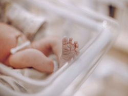 Nice, 1ère commune de France à dématérialiser les déclarations de naissance, reconnaissance et de décès 
