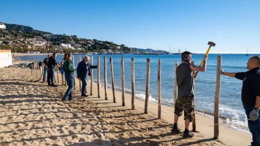 Au Lavandou, des solutions douces pour lutter contre l'érosion côtière