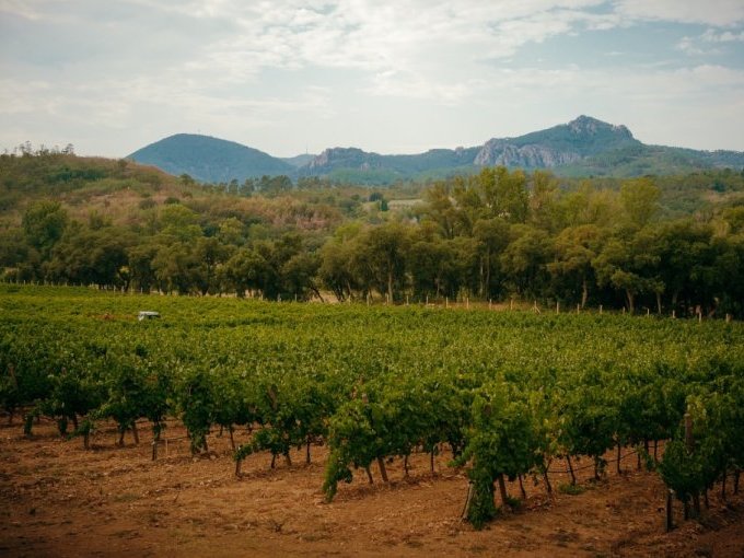 À Mandelieu, le Domaine