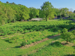 Tradition, science et agriculture régénératrice : MANE lance son jardin expérimental