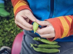 Gîtes de France lance un appel à soutenir la filière agricole française et les circuits courts